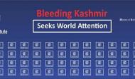 Seminar on Bleeding Kashmir Seeks World Attention