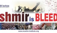 Rally Solidarity with Kashmiris on July 23, 2016